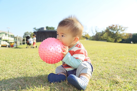 スターチャイルド 岸根公園ナーサリー