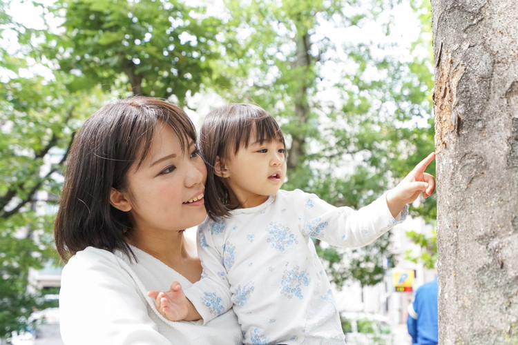 クレアナーサリー向ヶ丘遊園