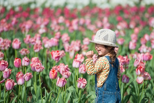 一之宮幼稚園