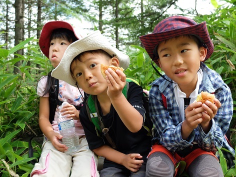 しま幼稚園 | さいたま市見沼区