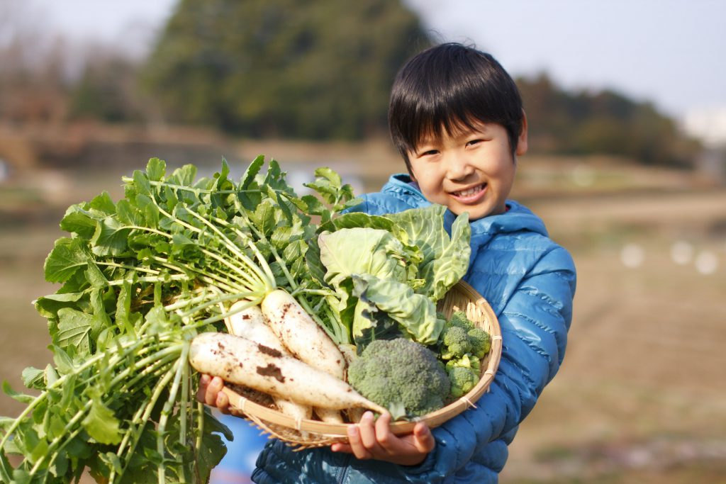 食育