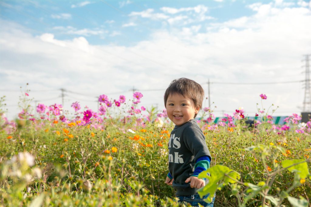 仏教保育